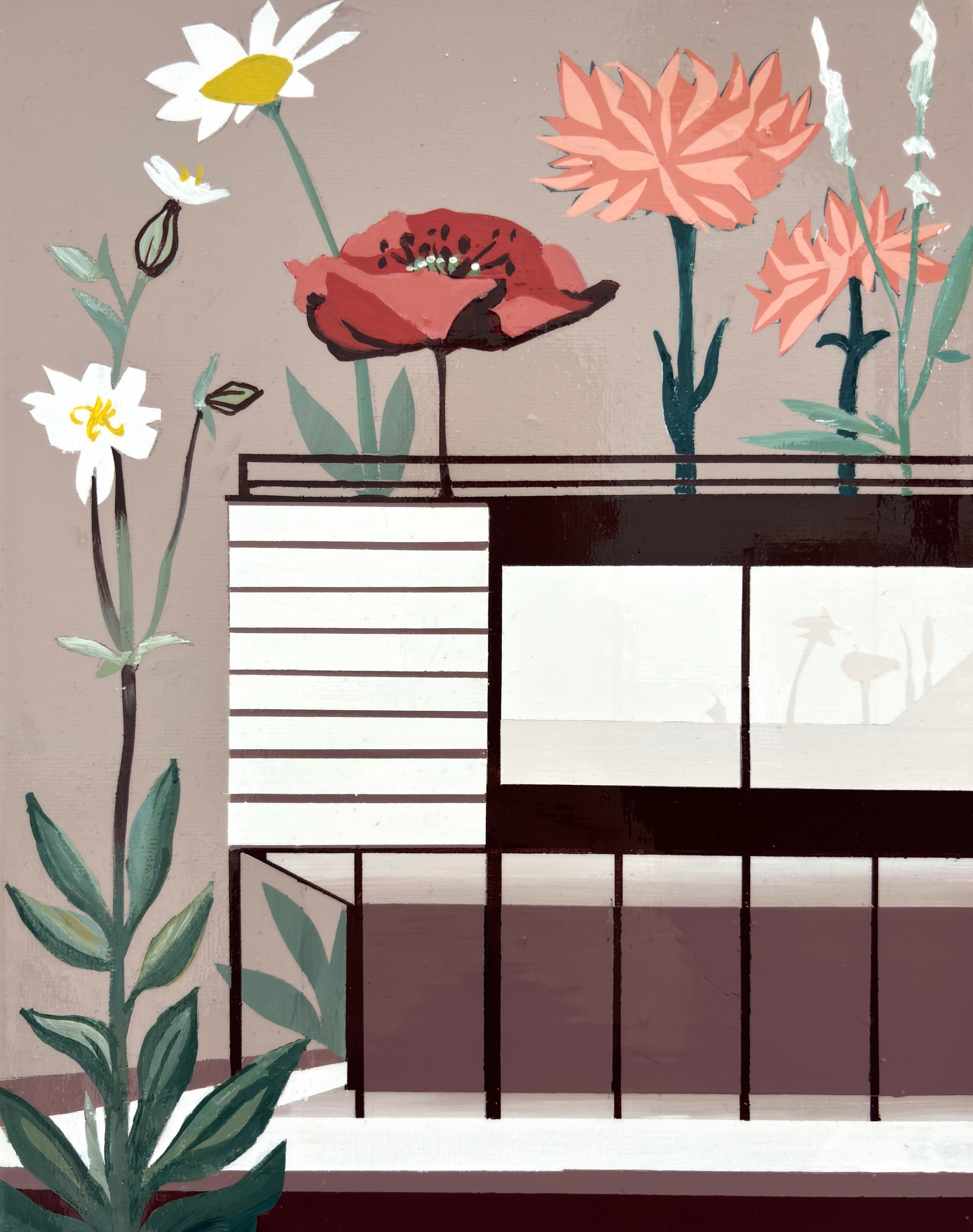 Wildflowers Wildflowers